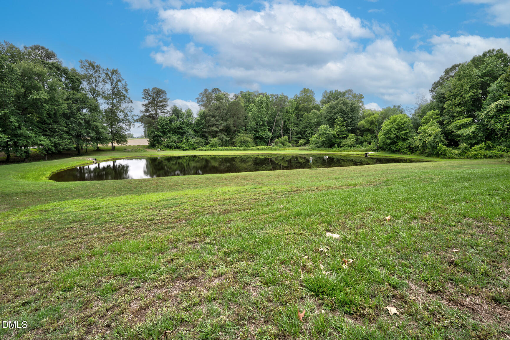 6562 Squirrel Den Road