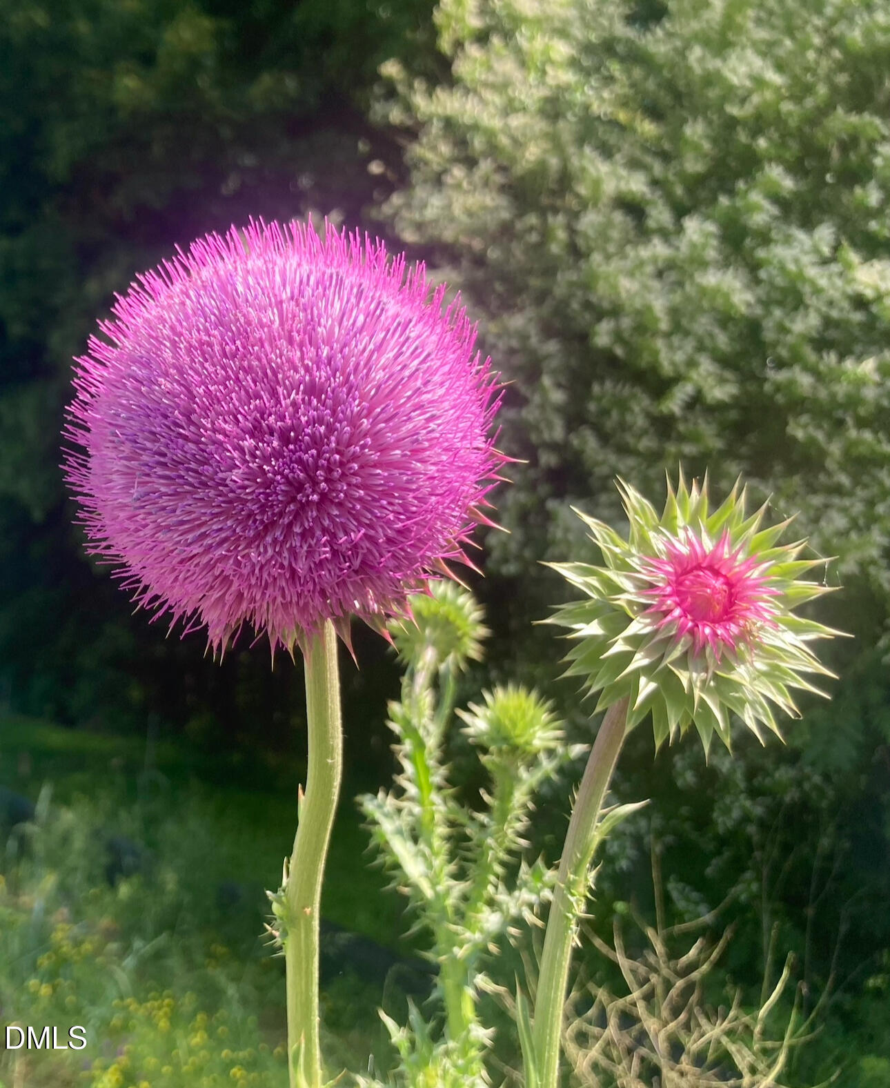 6202 Montgomery Estates Road