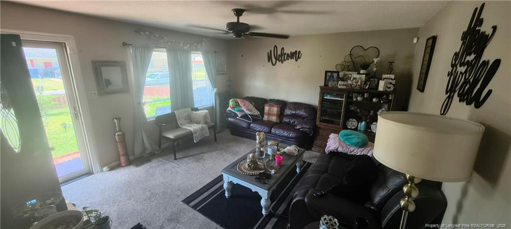 311 Glen Canyon Drive