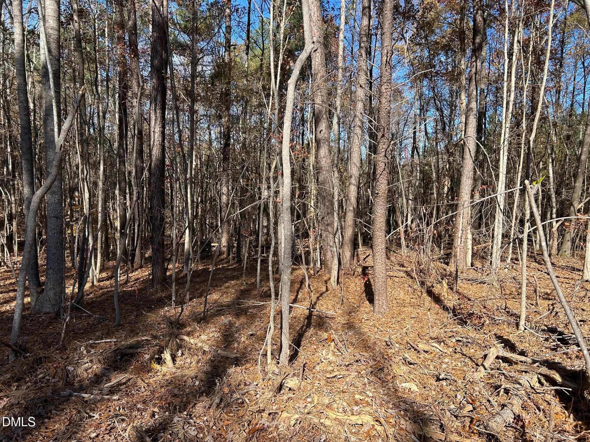 2085 Satterwhite Road