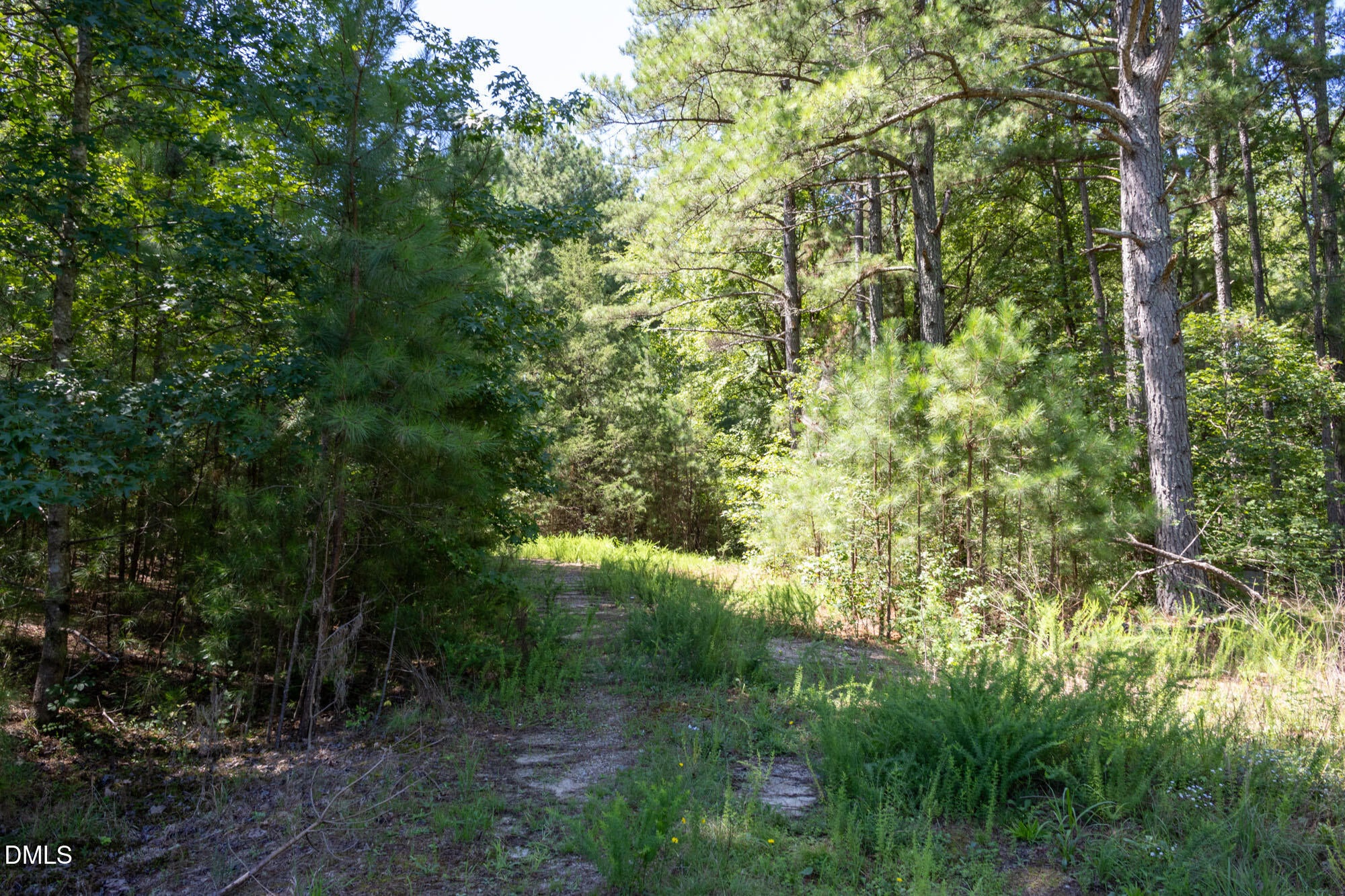 3132 Walters Road