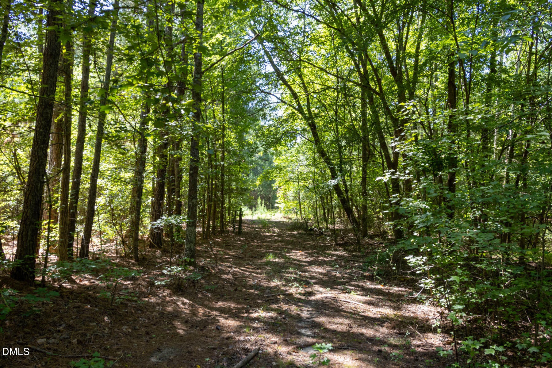 3132 Walters Road