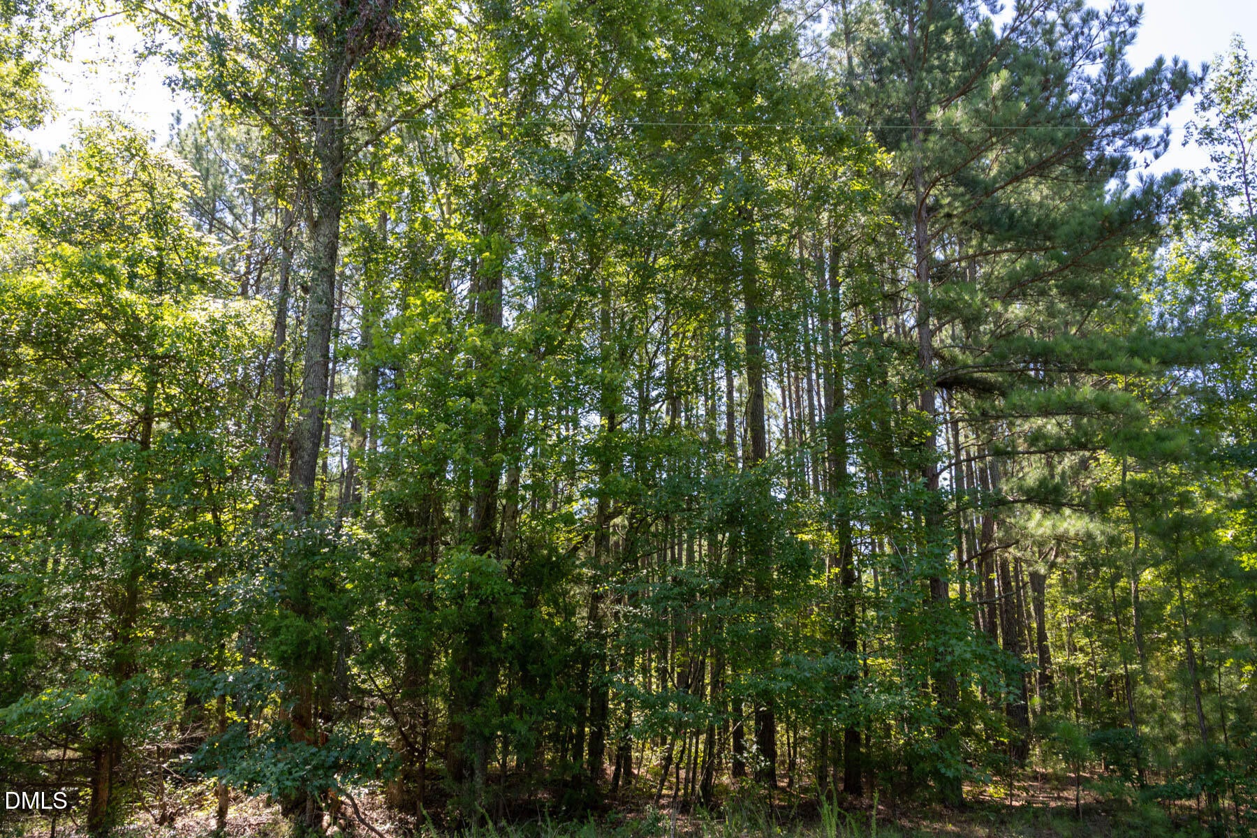 3132 Walters Road