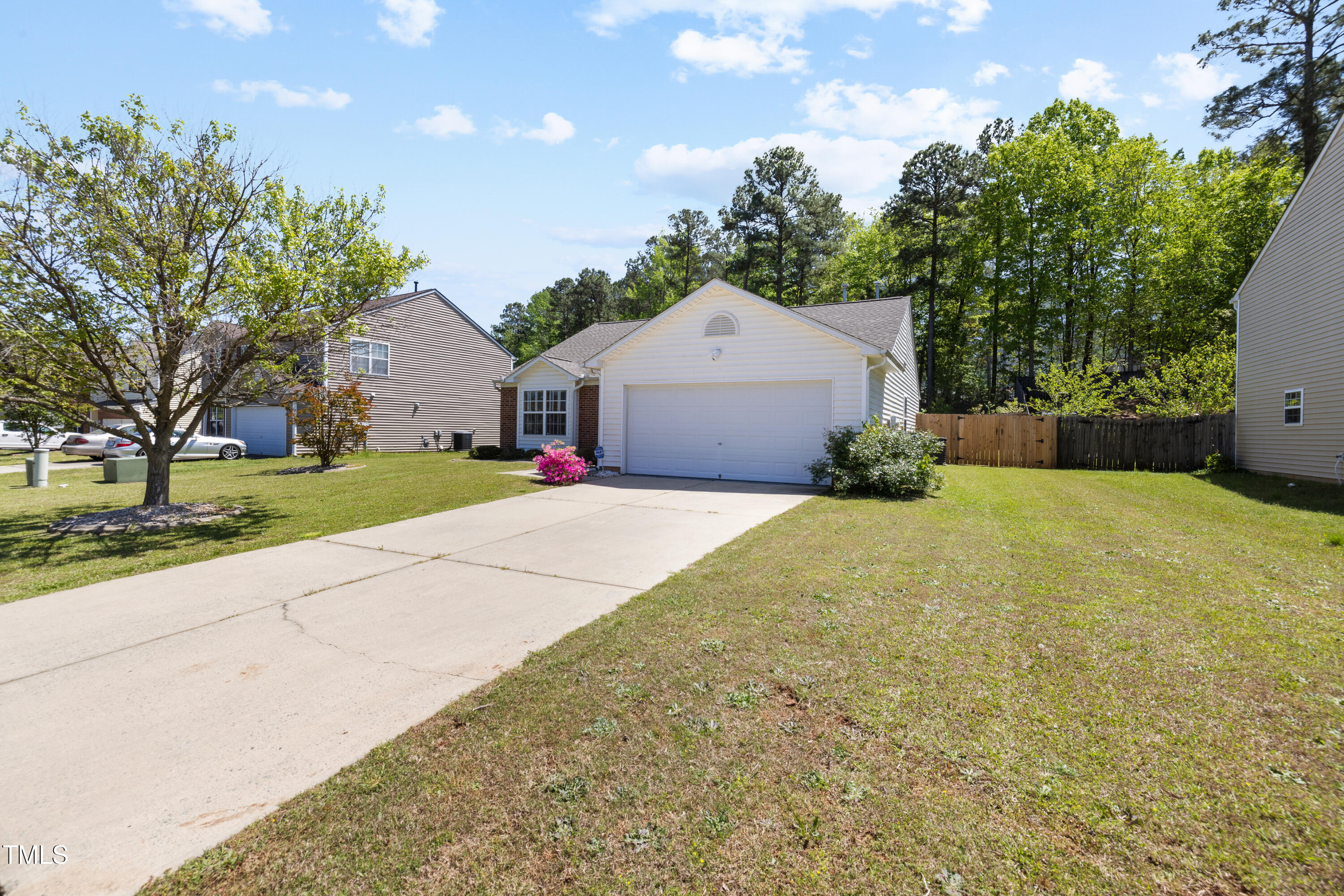 729 Golden Horseshoe Lane