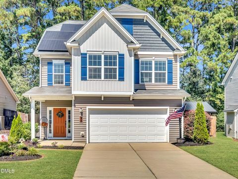 95 Arbor Loop Angier NC 27501