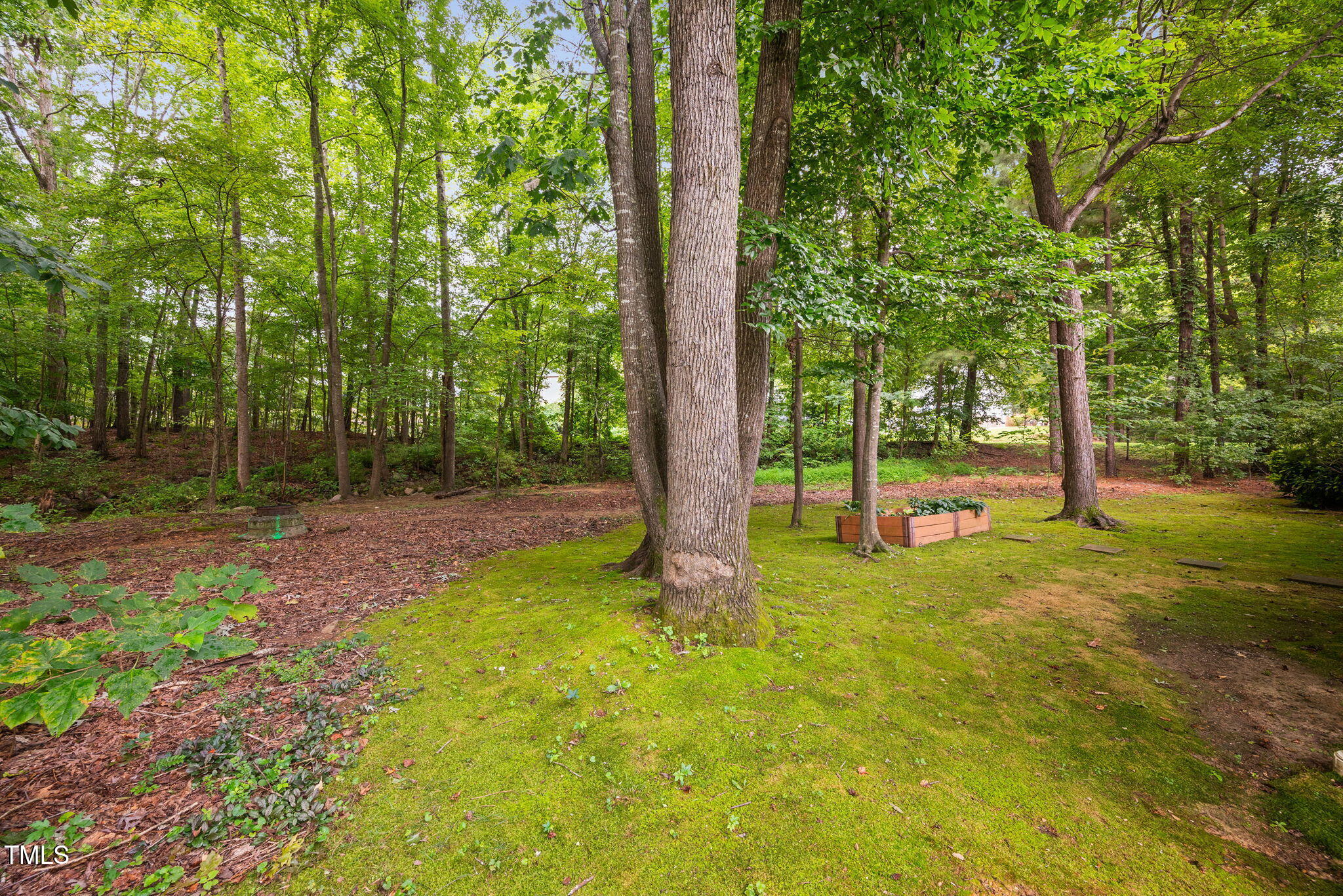 227 Chimney Rise Drive