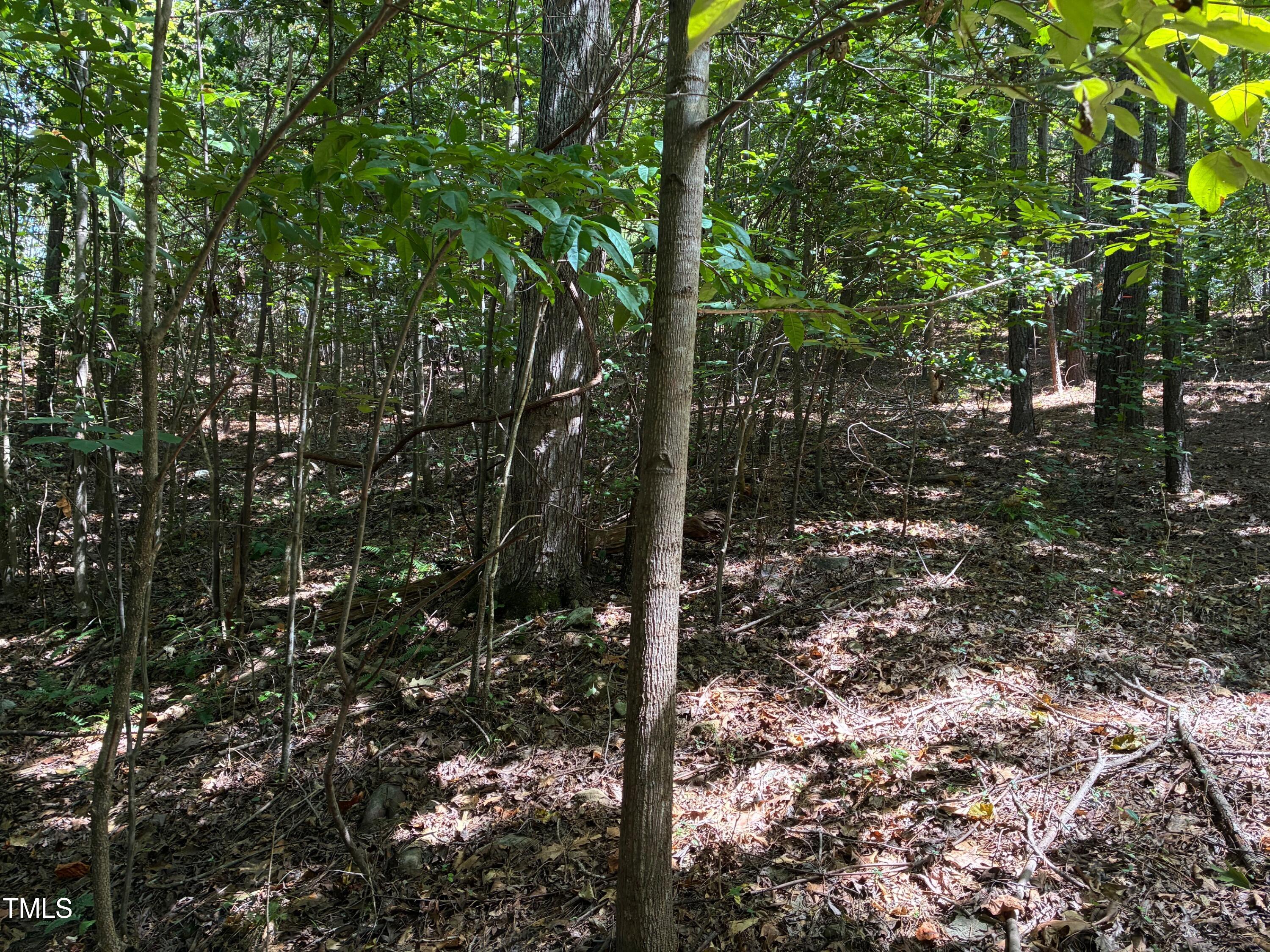 48 Sweet Meadow Lane