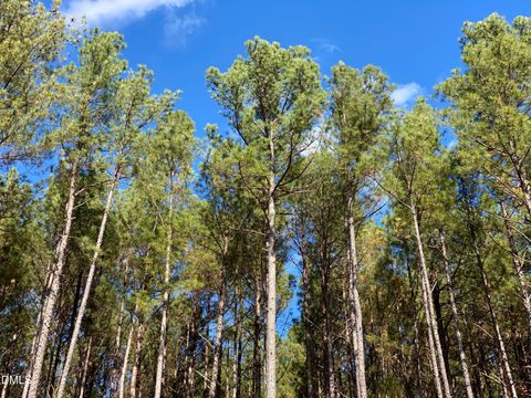 586 Anneliis Lane Siler City NC 27344