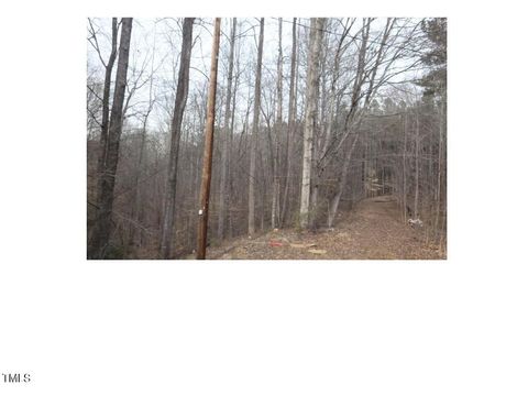 Tbd Mount View Drive Pelham NC 27311