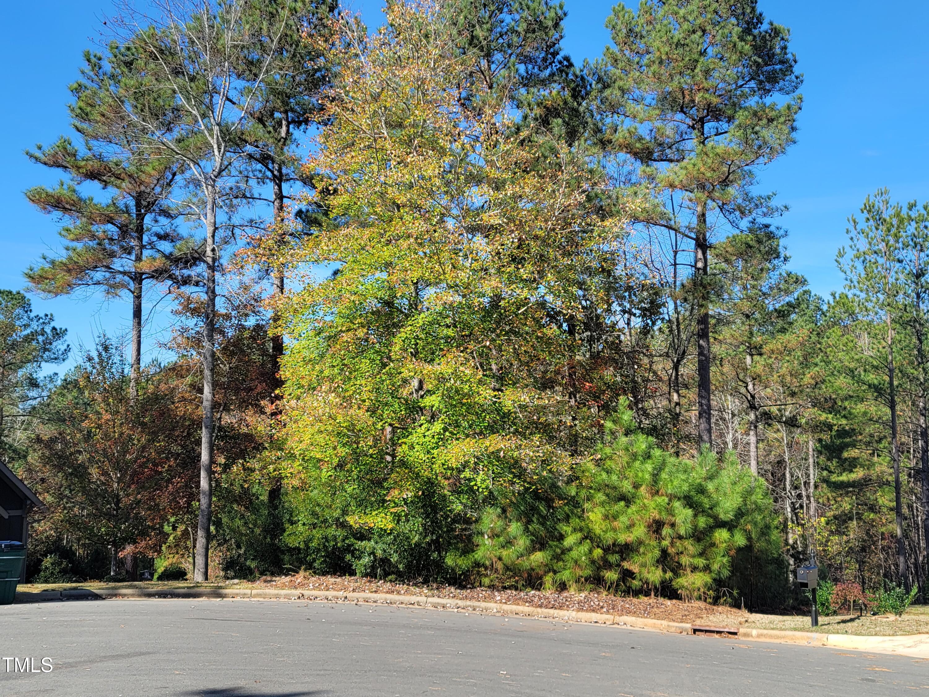149 Brandy Mill