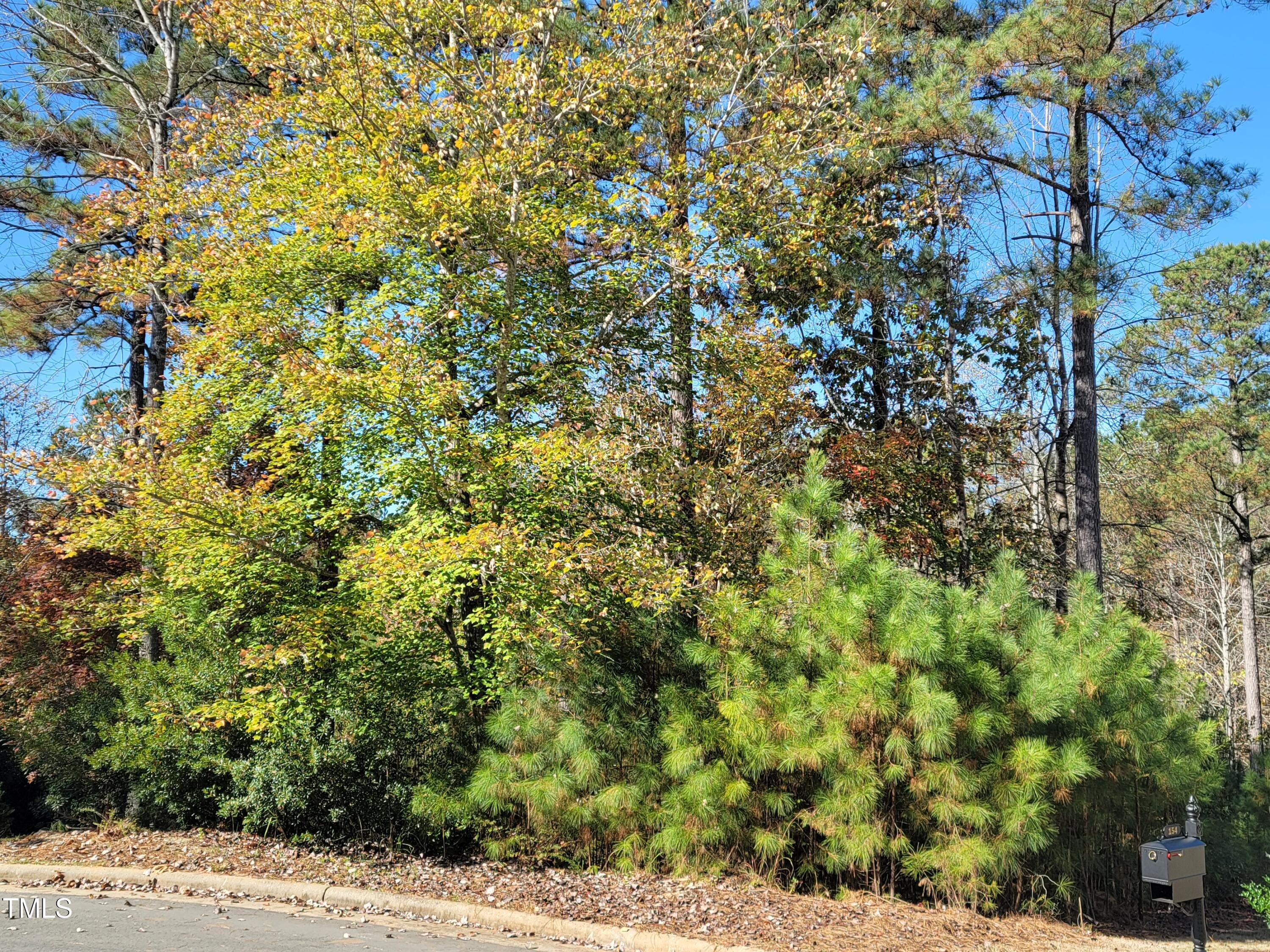 149 Brandy Mill
