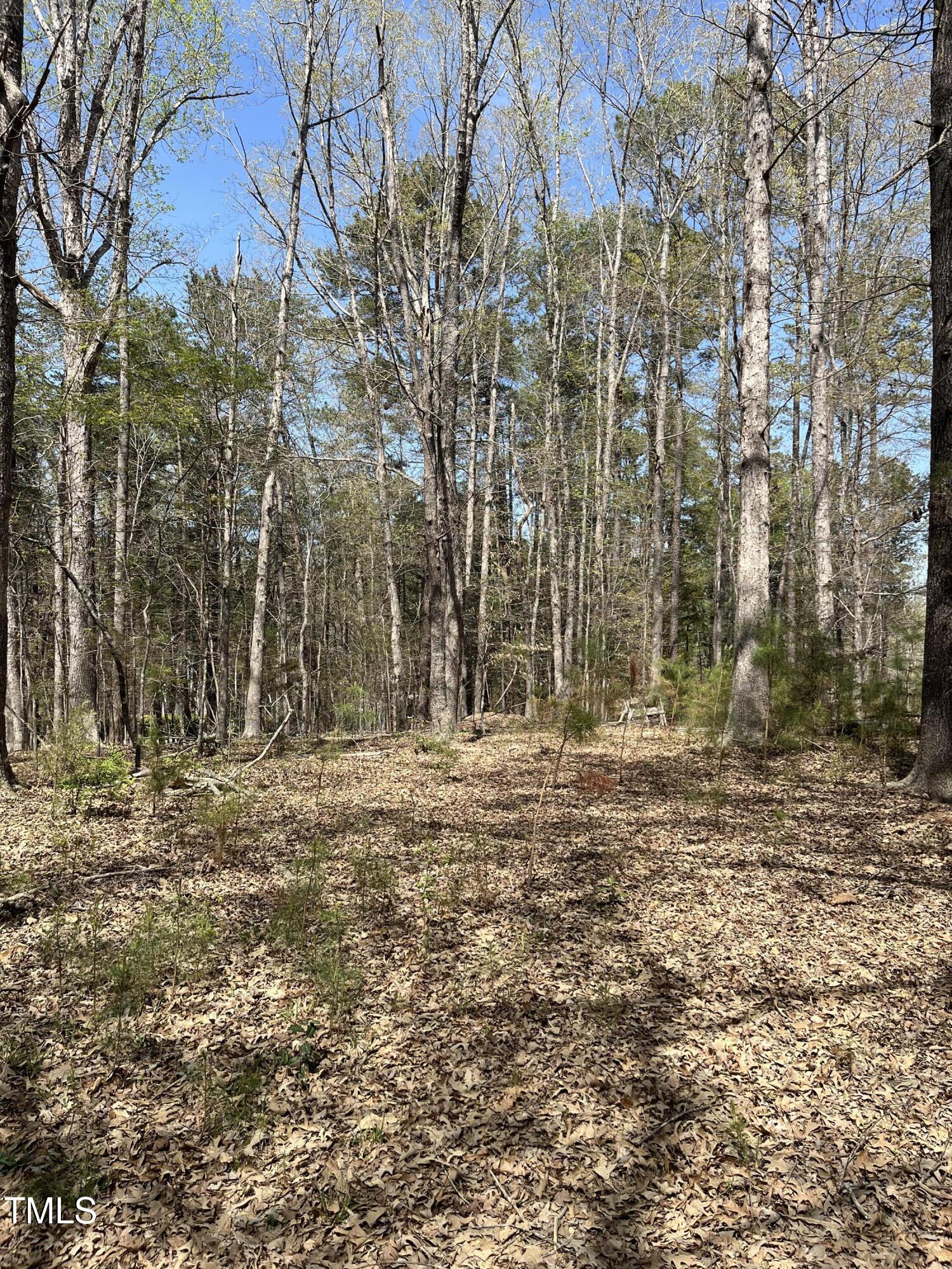 1613 Homestead Road