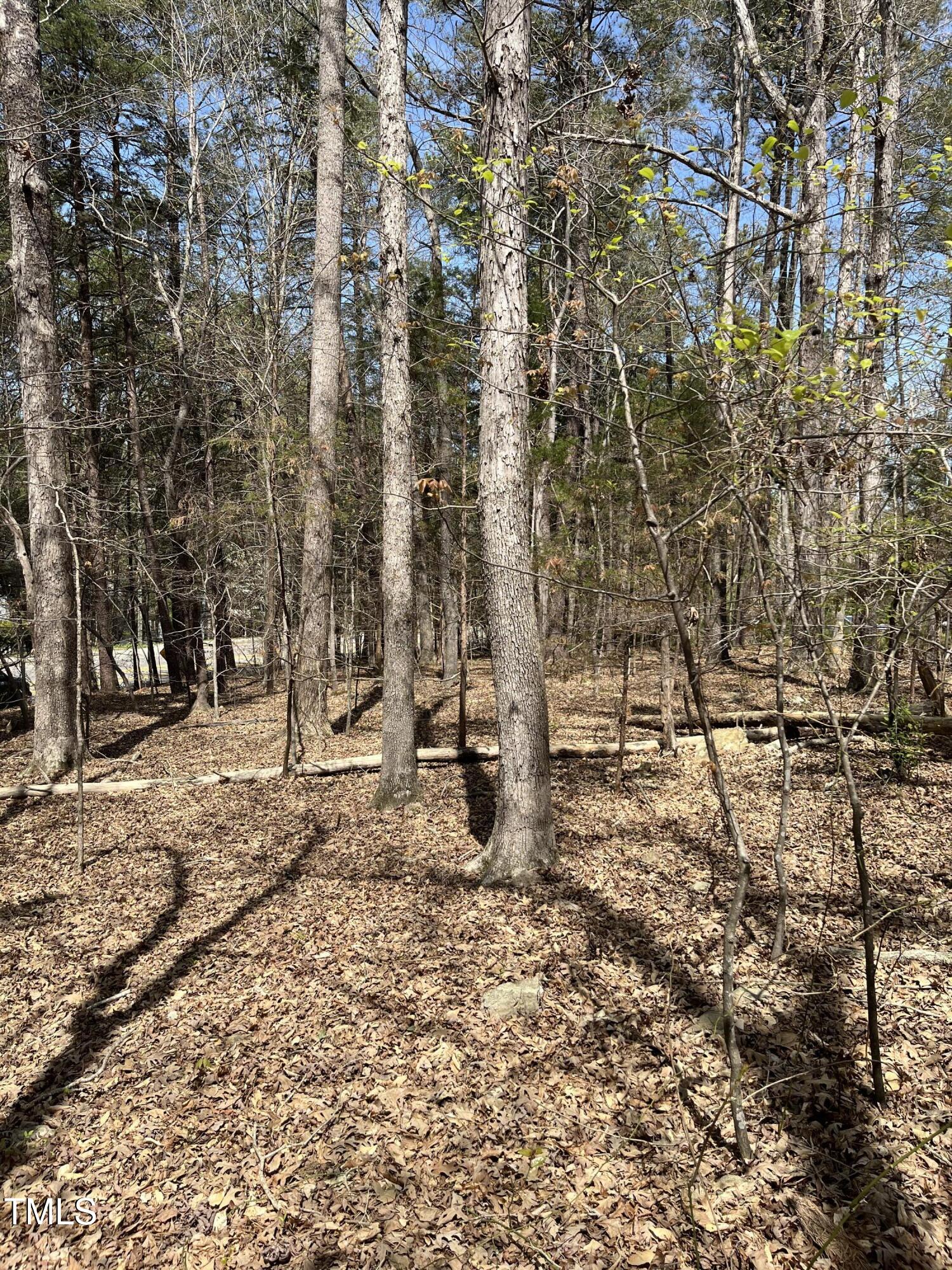 1613 Homestead Road