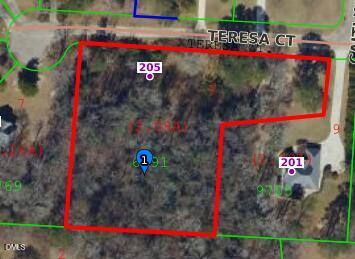 205 Teresa Court