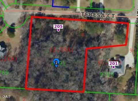 205 Teresa Court Angier NC 27501