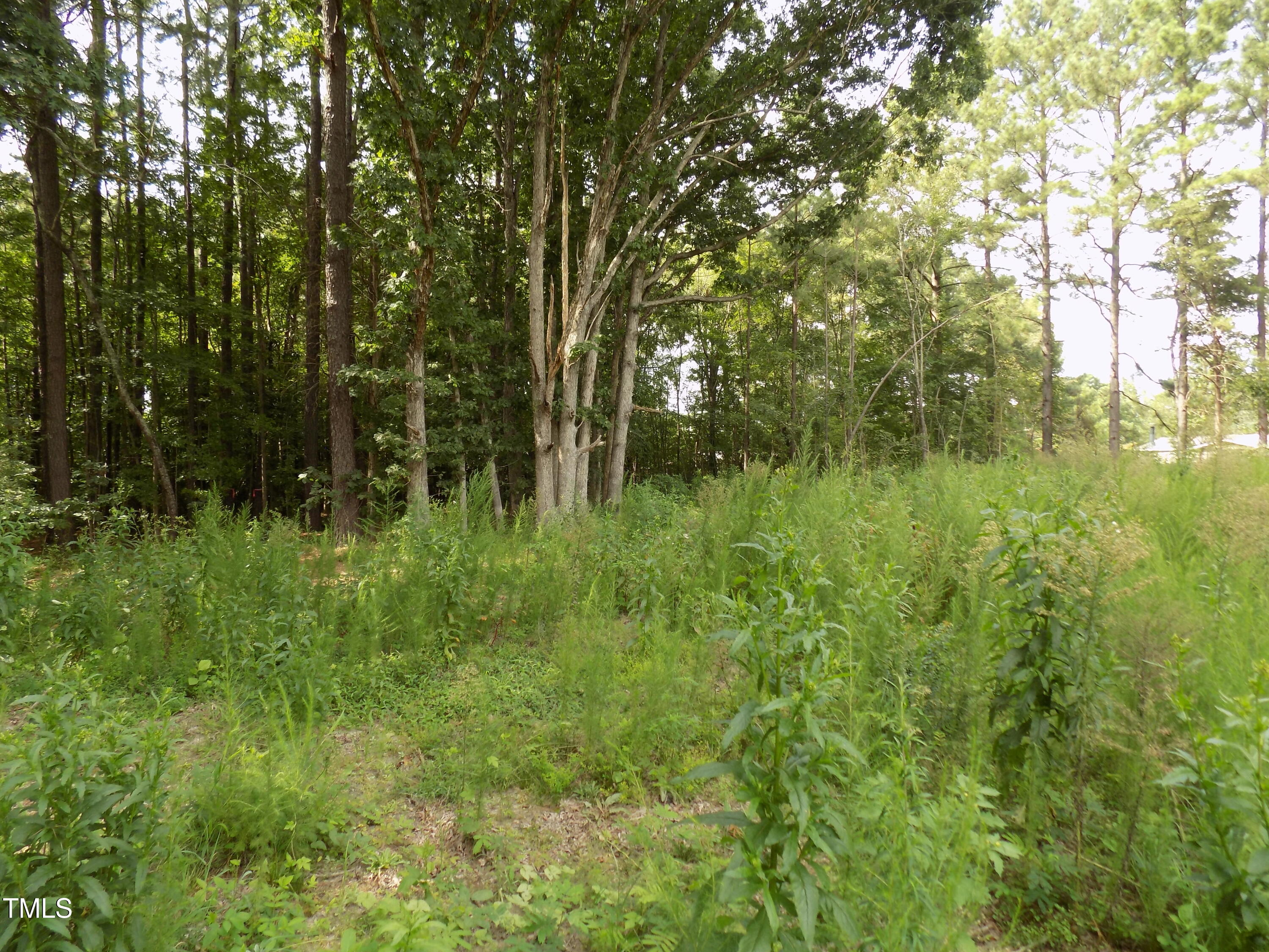 4009 Us 401 Hwy N