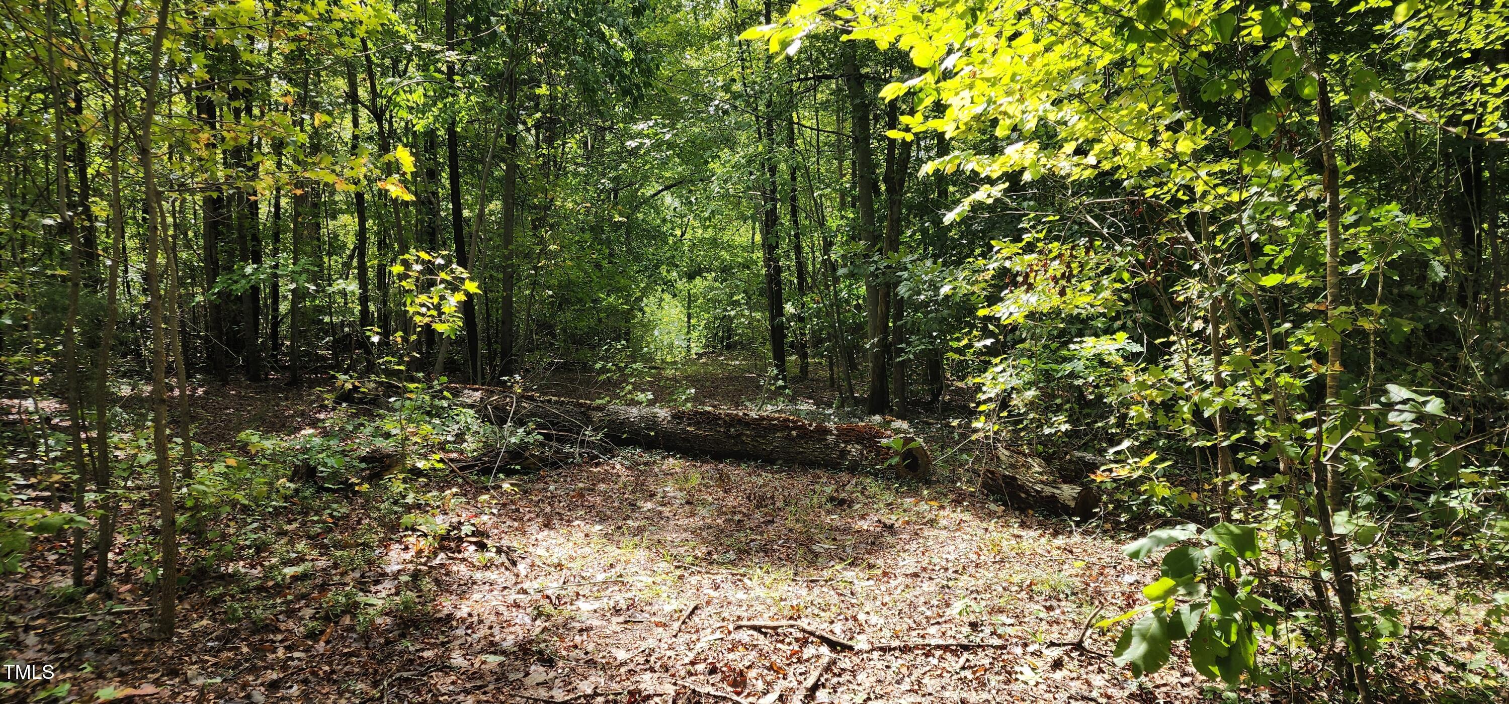 Tbd Mill Creek Road