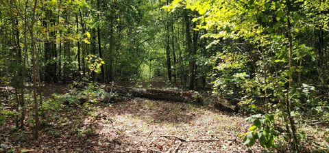 Tbd Mill Creek Road Cedar Grove NC 27231