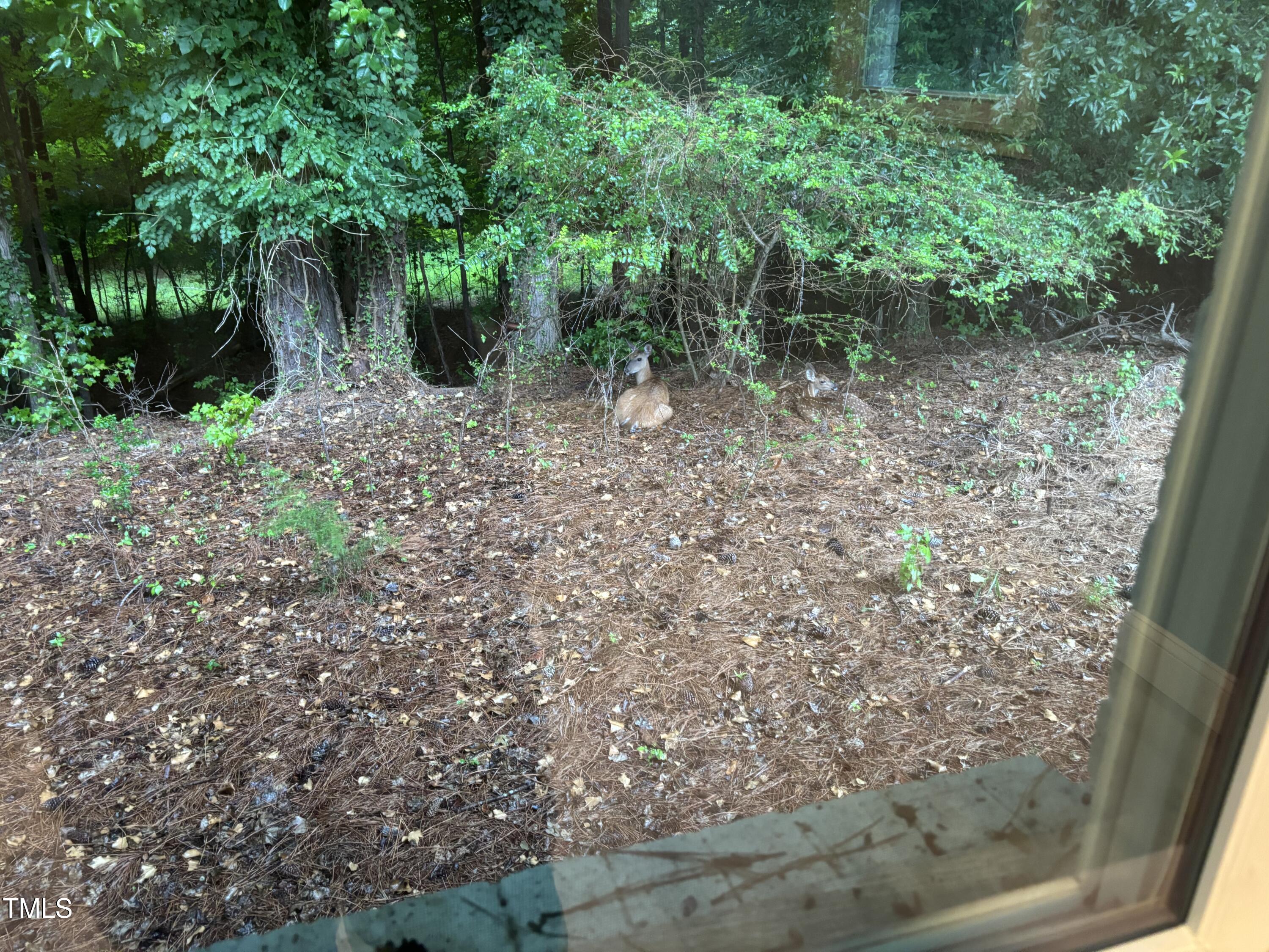 Durham, North Carolina 27712, United States, 3 Bedrooms Bedrooms, ,2 BathroomsBathrooms,Residential,Active,166639