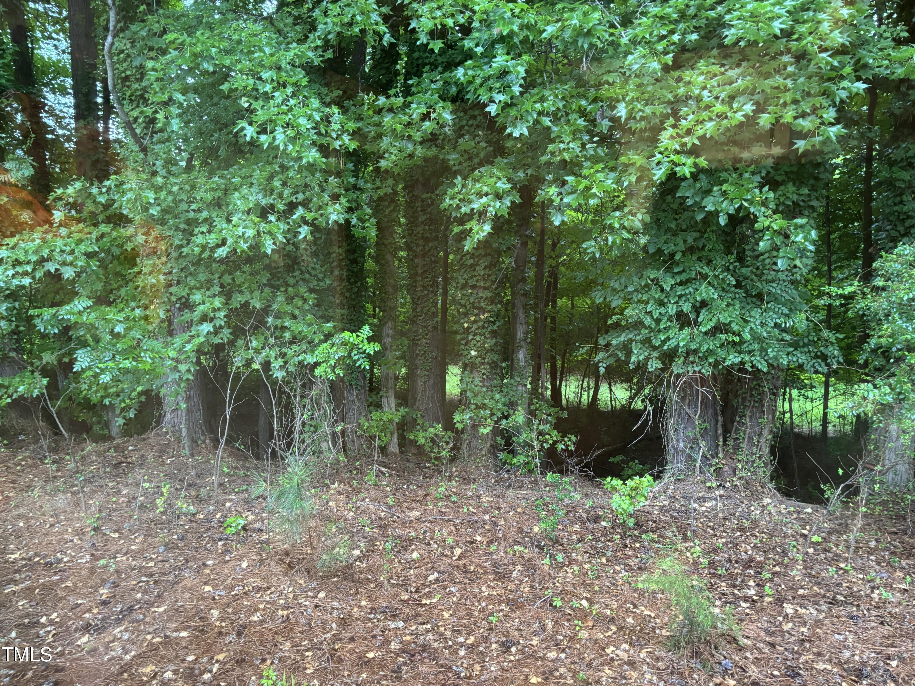 Durham, North Carolina 27712, United States, 3 Bedrooms Bedrooms, ,2 BathroomsBathrooms,Residential,Active,166639