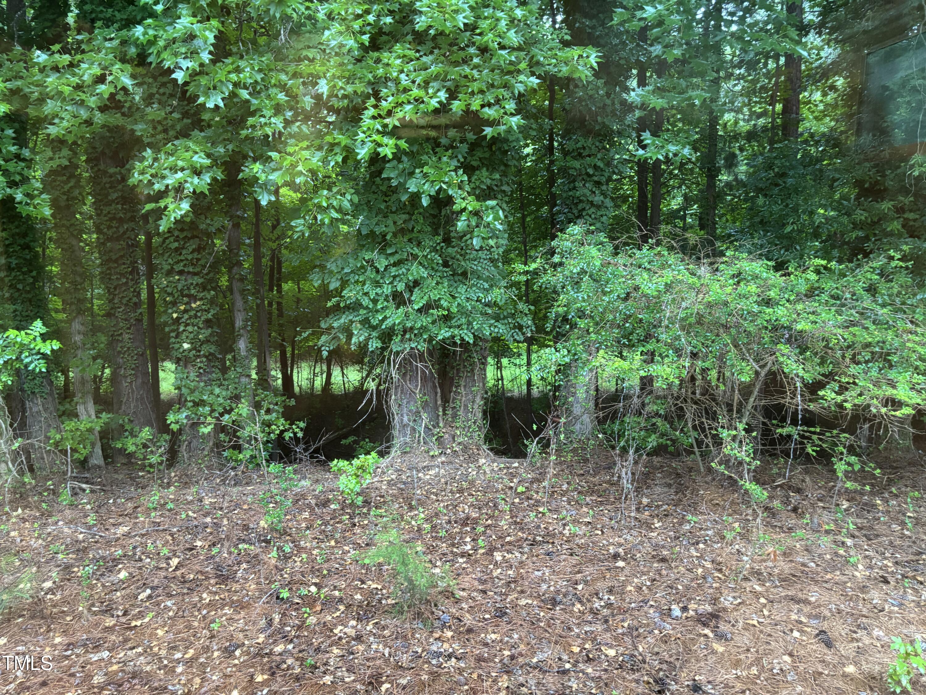 Durham, North Carolina 27712, United States, 3 Bedrooms Bedrooms, ,2 BathroomsBathrooms,Residential,Active,166639