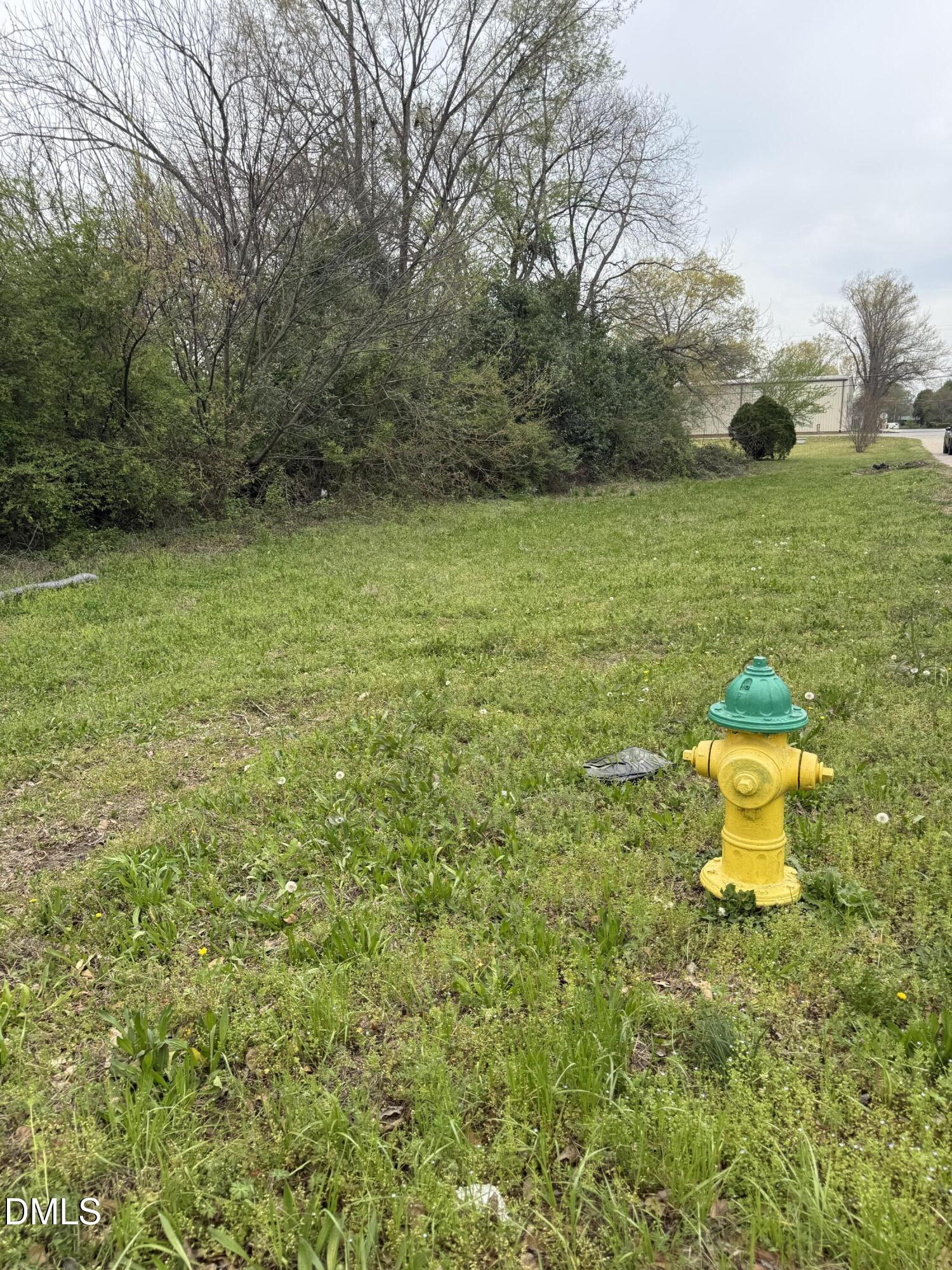 713 N Magnolia Avenue