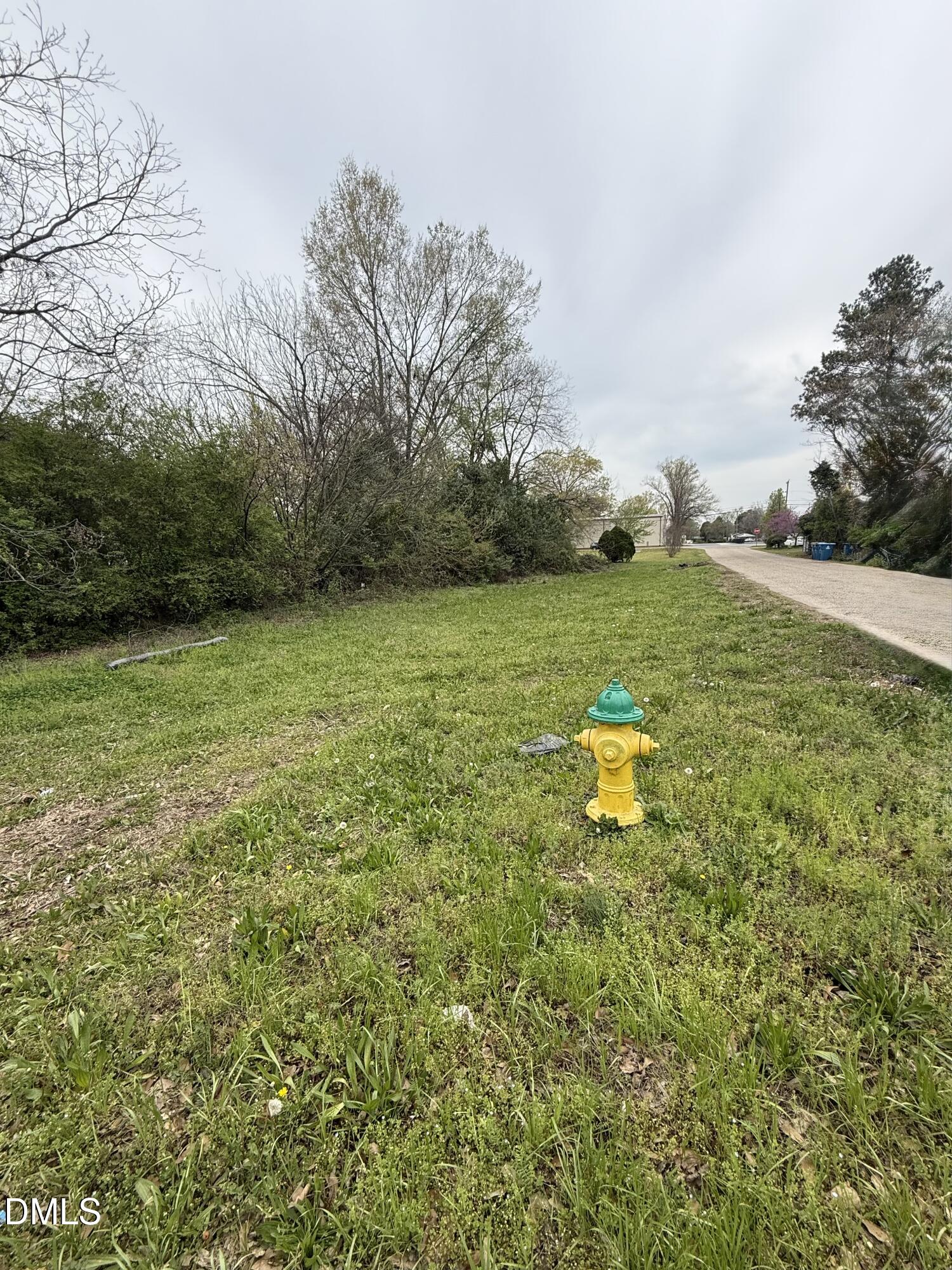 713 N Magnolia Avenue