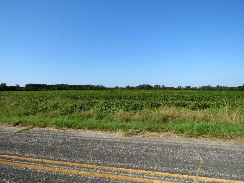 TBD Cowpen Swamp Road