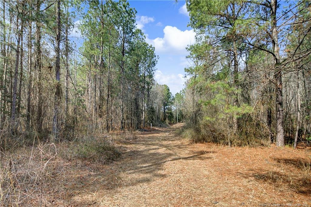 632 Creeksville Church Road