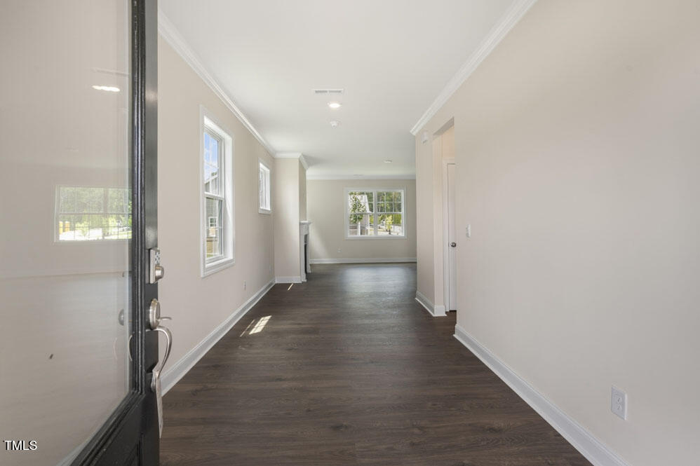 556 Lemon Daisy Lane
