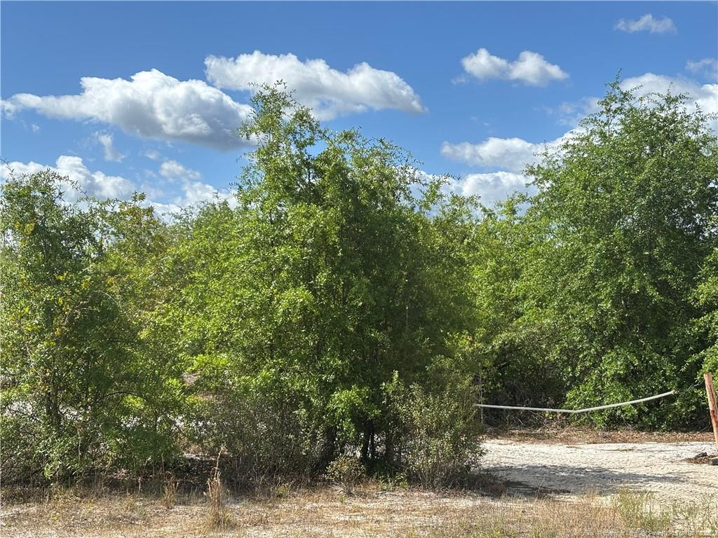 Johnson Road