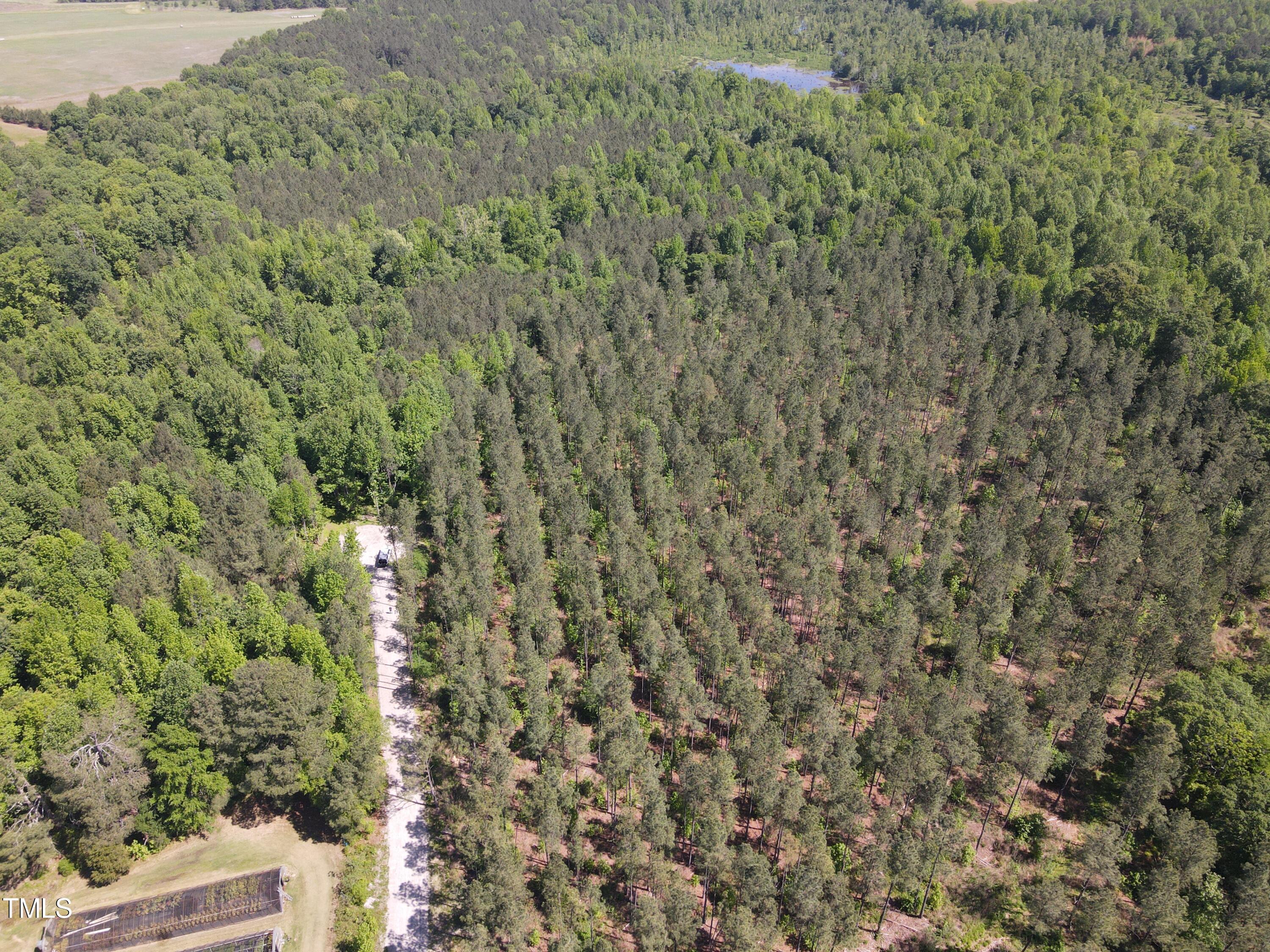 3829 Standing Pine Lane