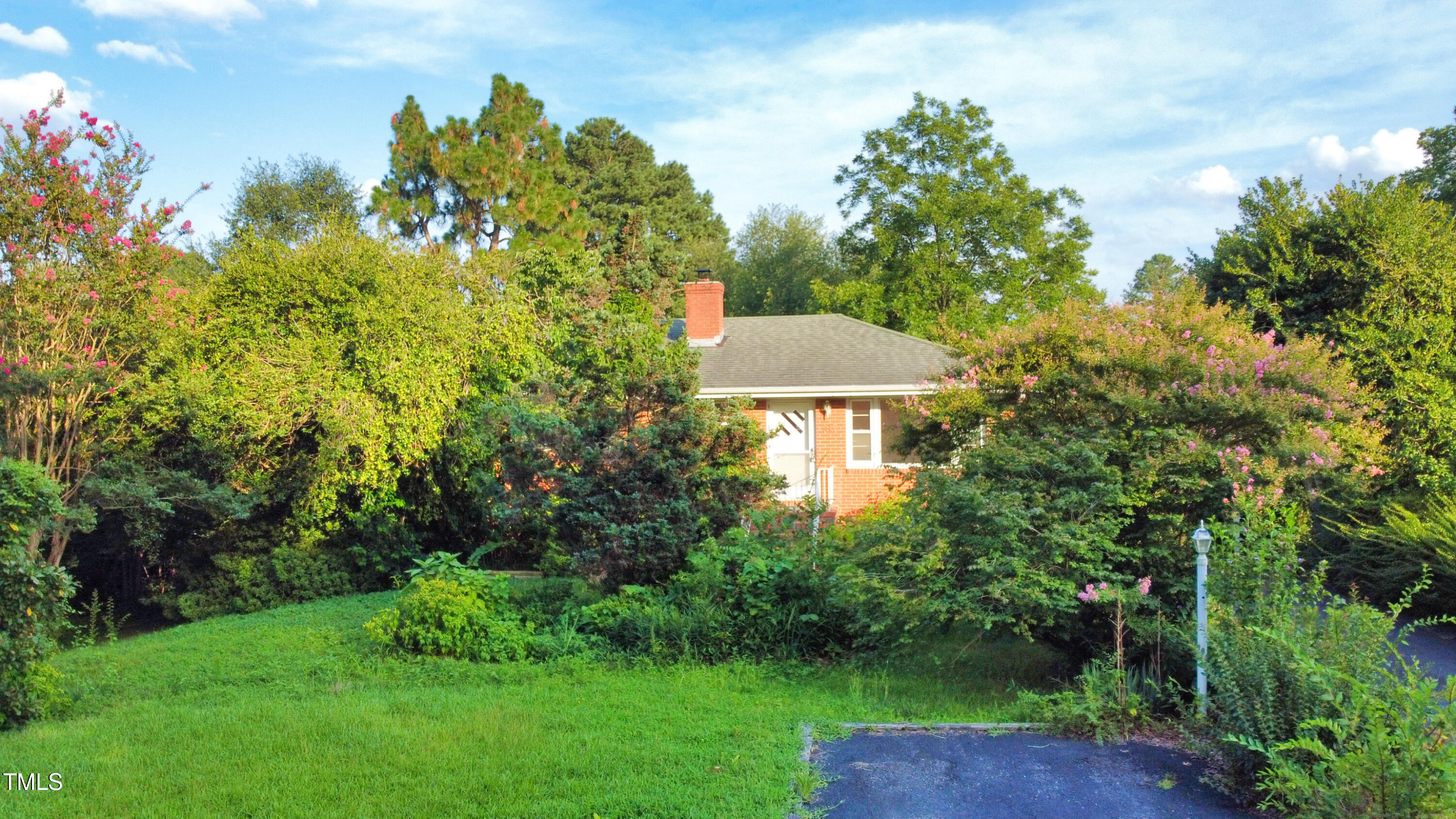 217 Faison Drive