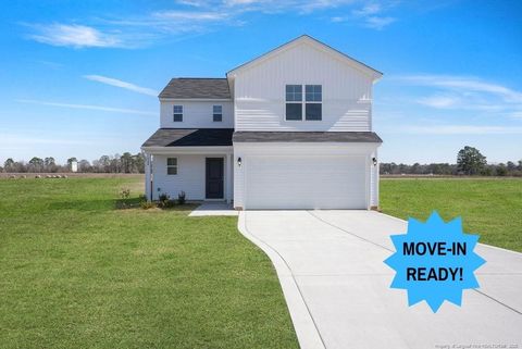 168 Buggy Top (Lot 24) Lane Autryville NC 28318
