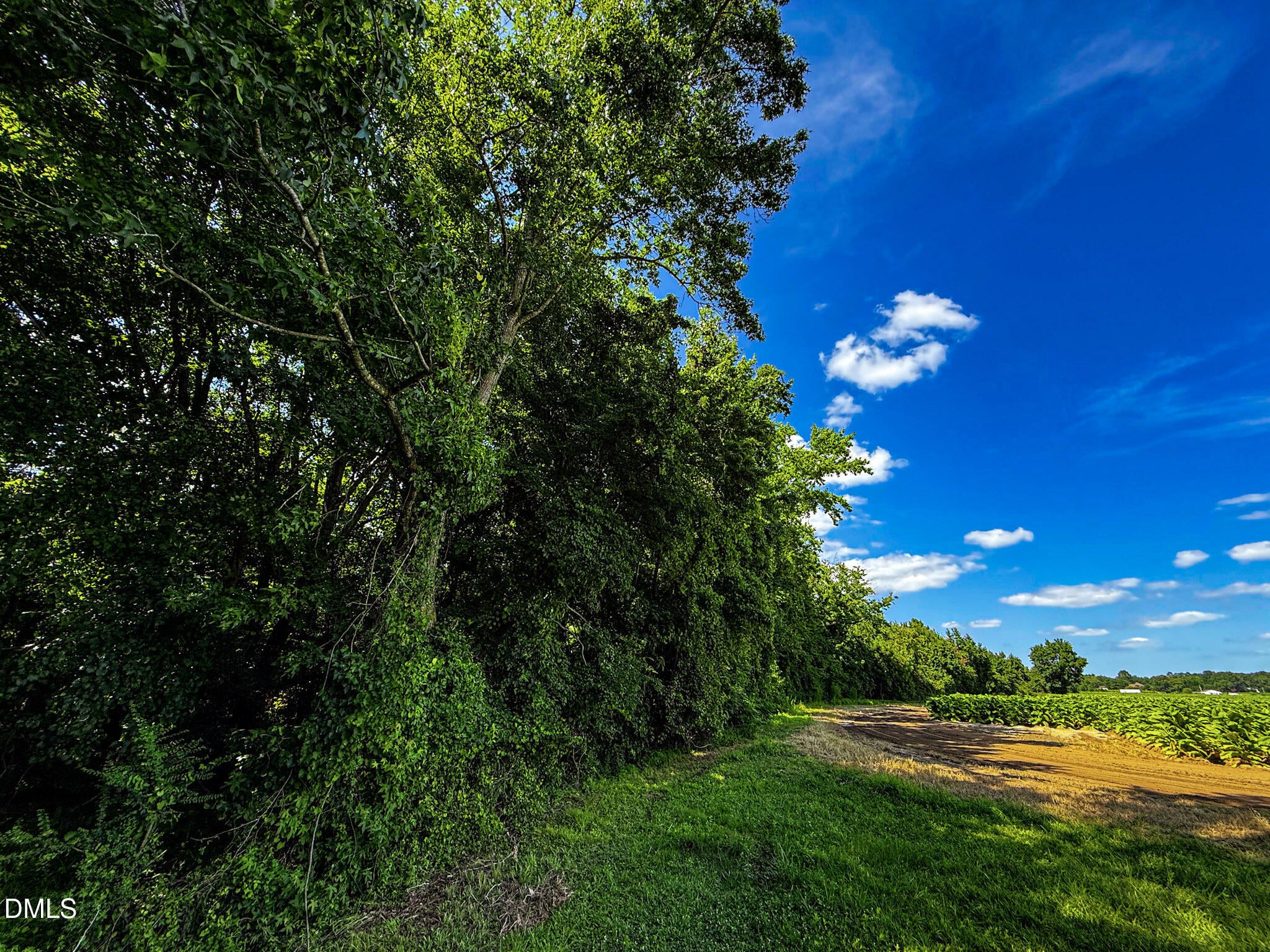 0 Old Stantonsburg Road