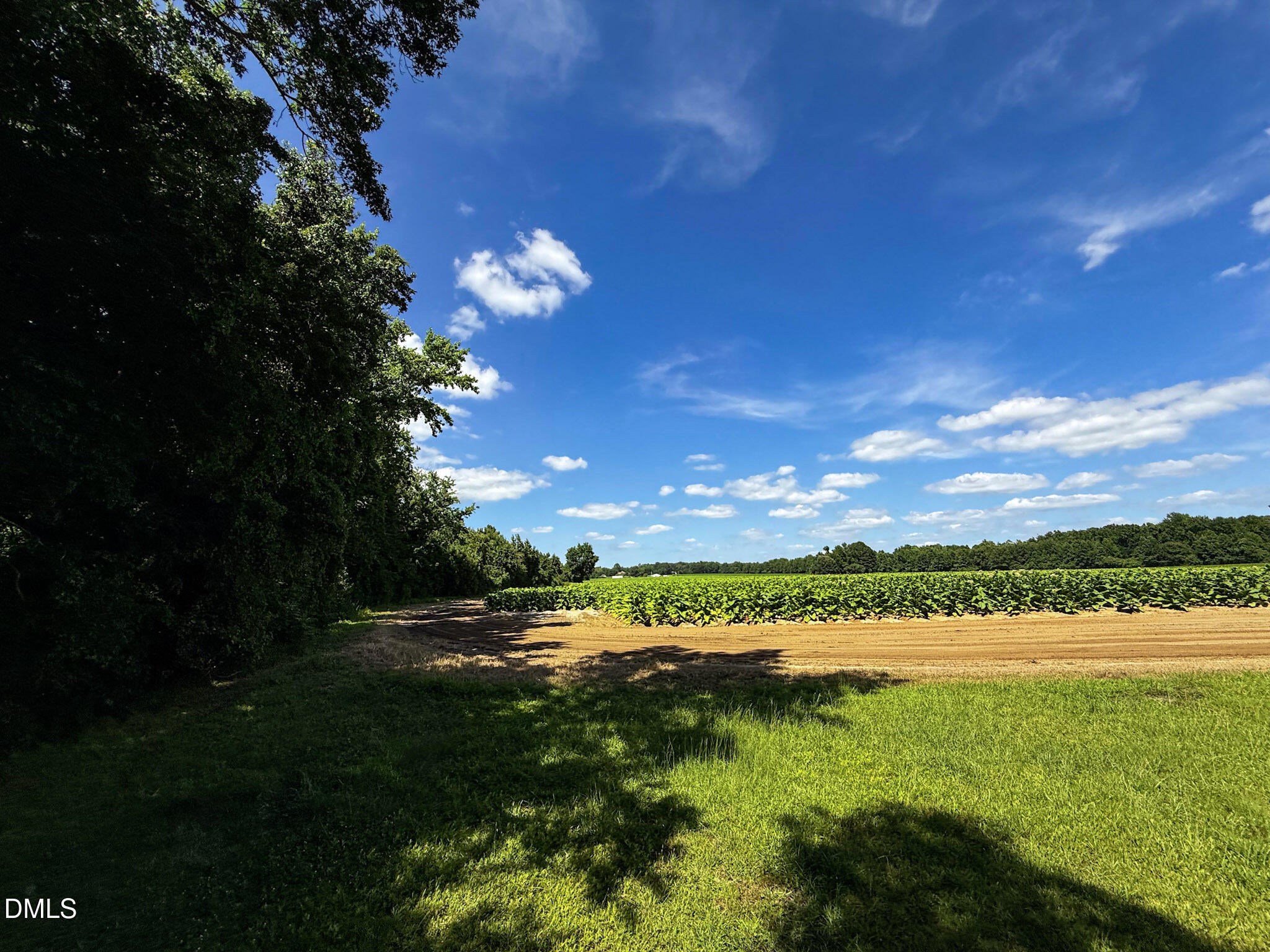 0 Old Stantonsburg Road
