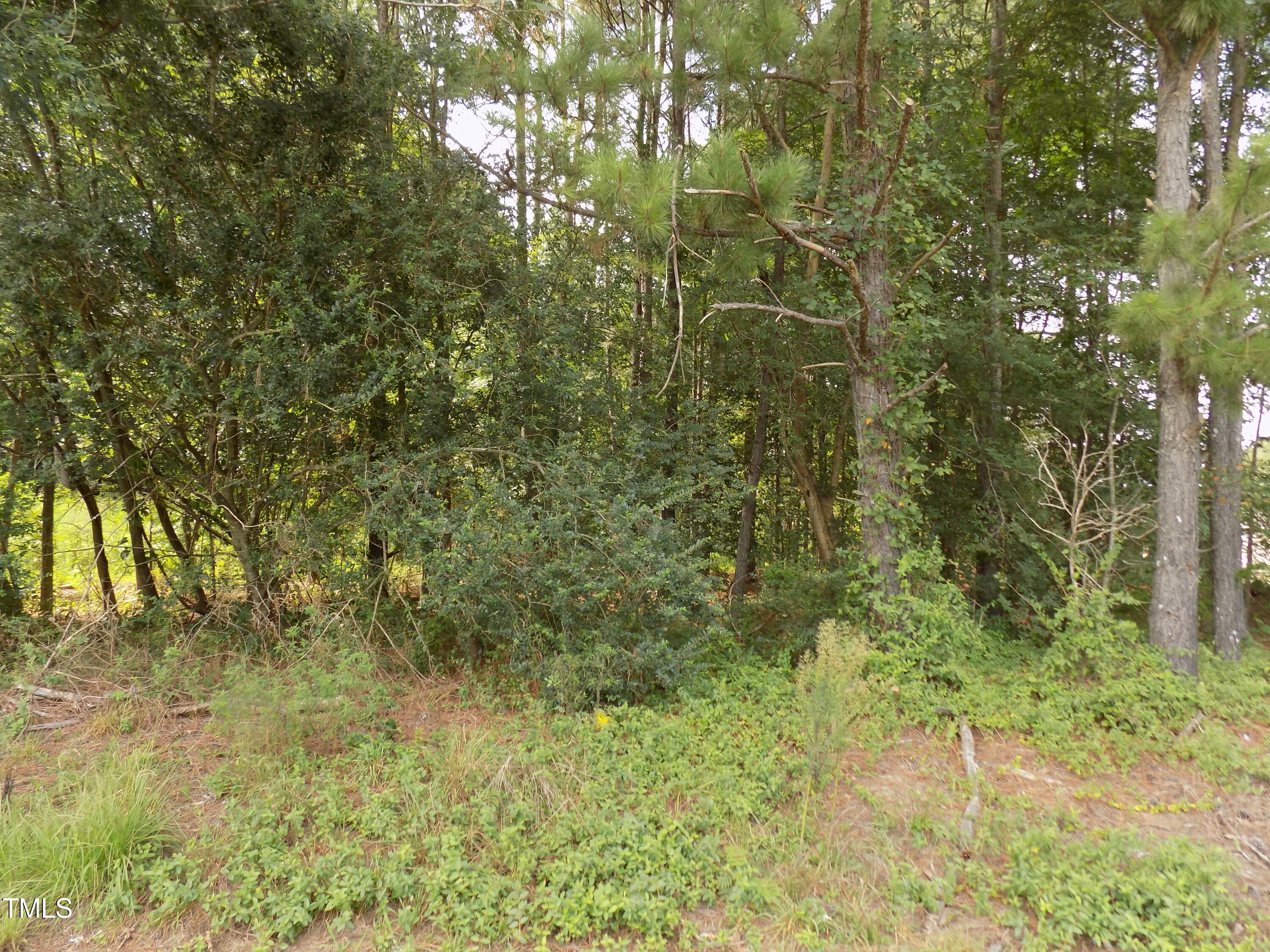 4013 Us 401 Hwy N