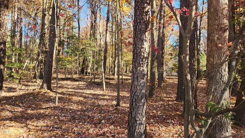 3901 Langston Circle Apex NC 27539