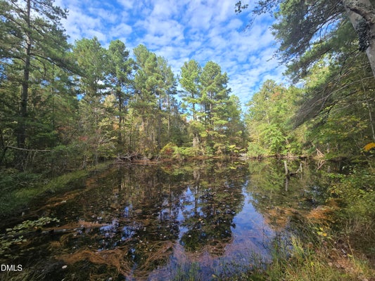 BASS MOUNTAIN RD, SNOW CAMP, NC 27349 - Image fa02c99d6ff86063bbffd258904f4fa2/4208973095