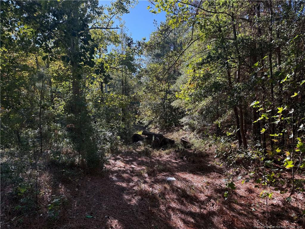2608 Blowing Rock Court