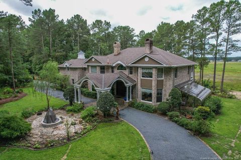 1064 Tresses Court Vass NC 28394