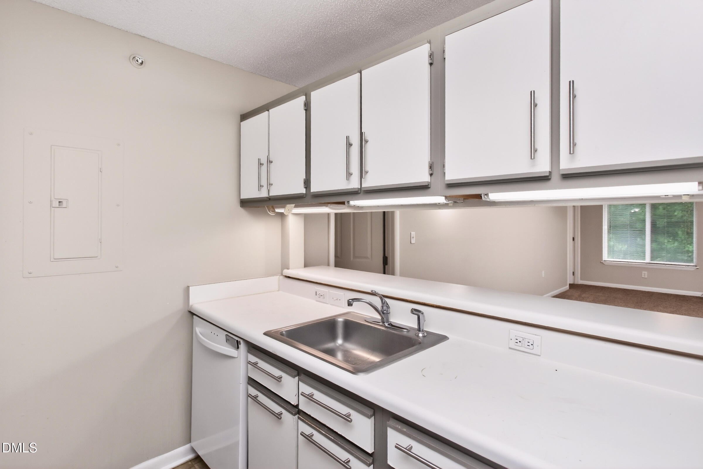 1341 Crab Orchard Drive 303