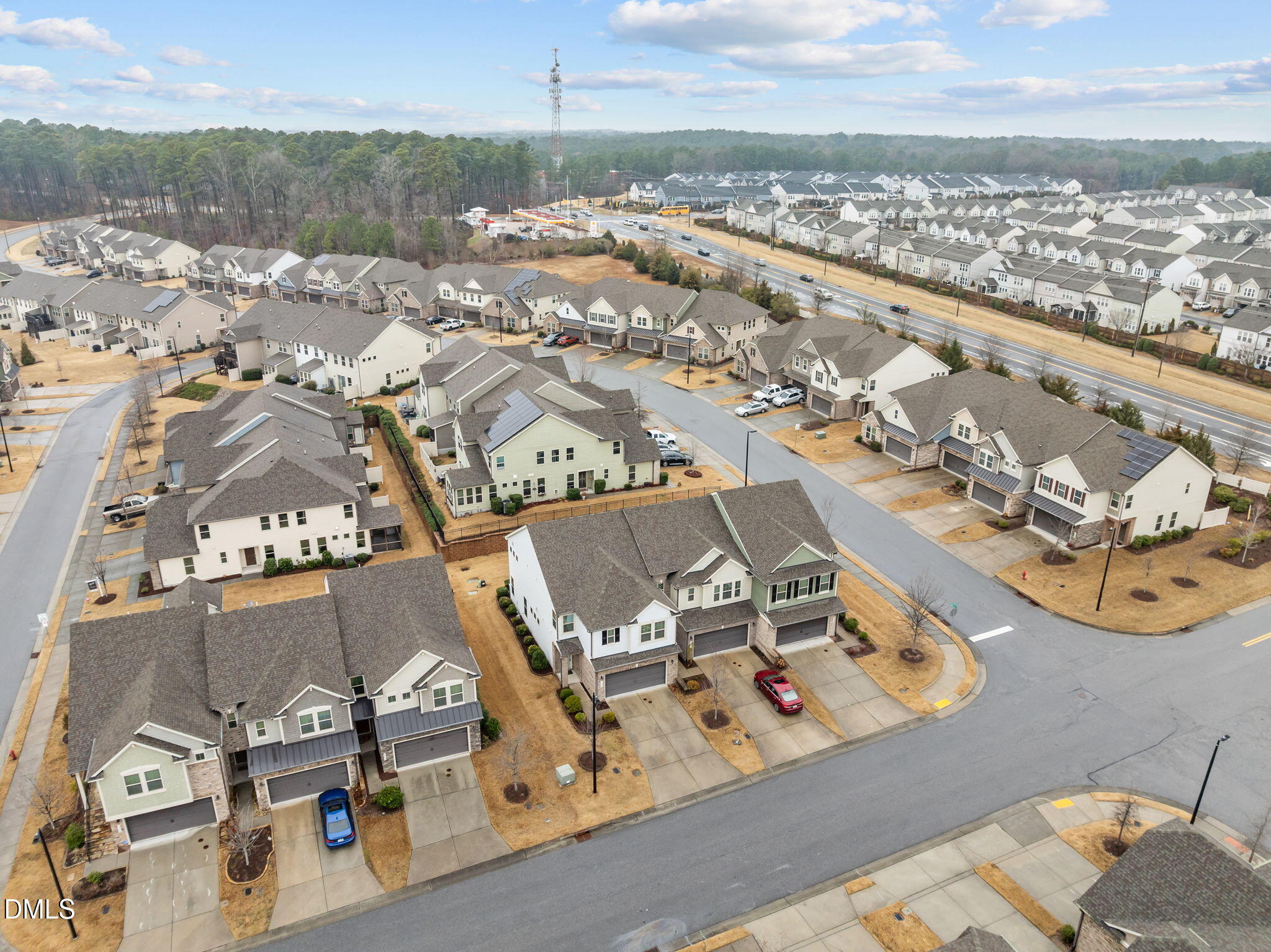 1106 Lotus Lilly Drive