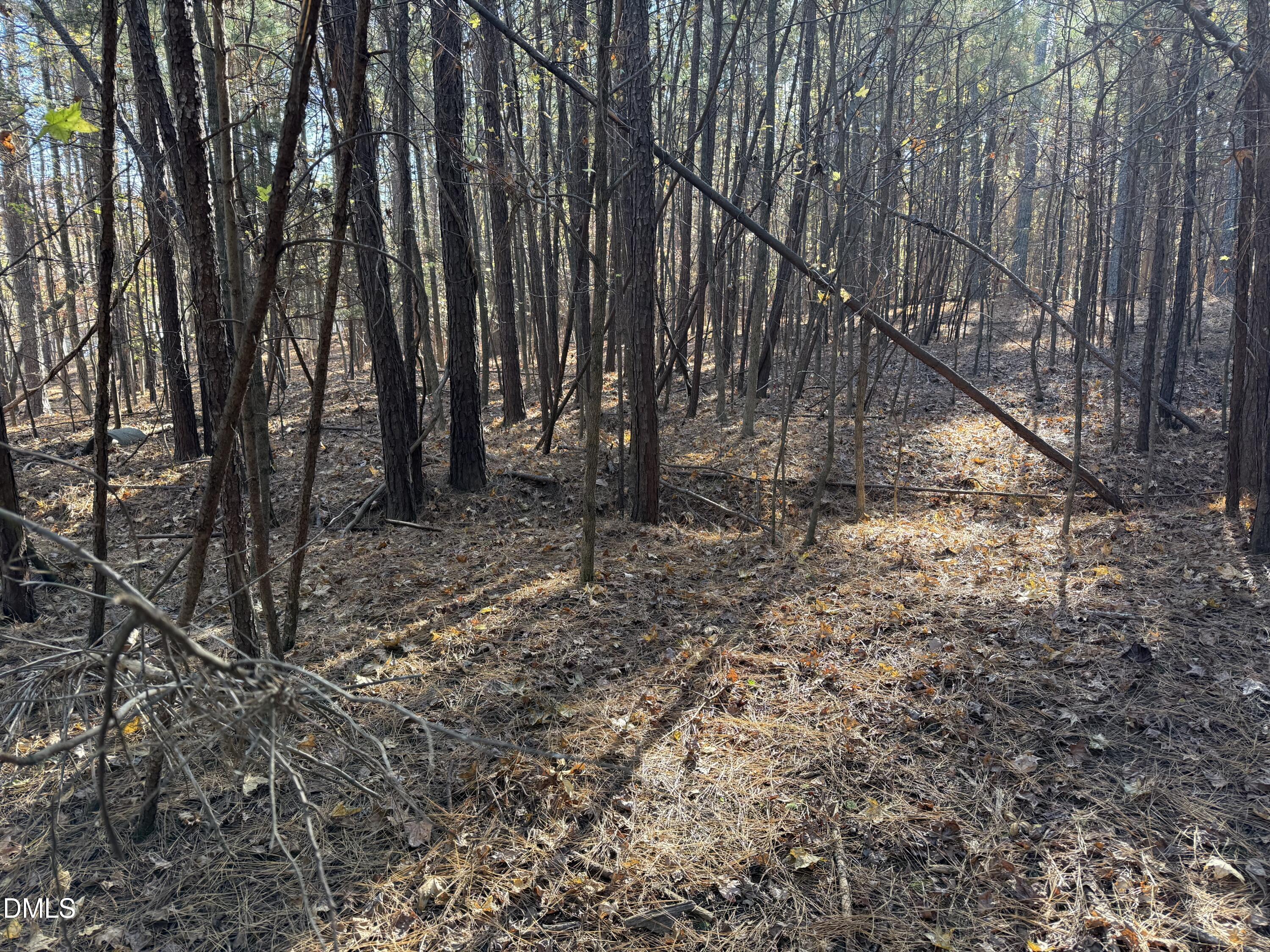 530 Crievewood Drive