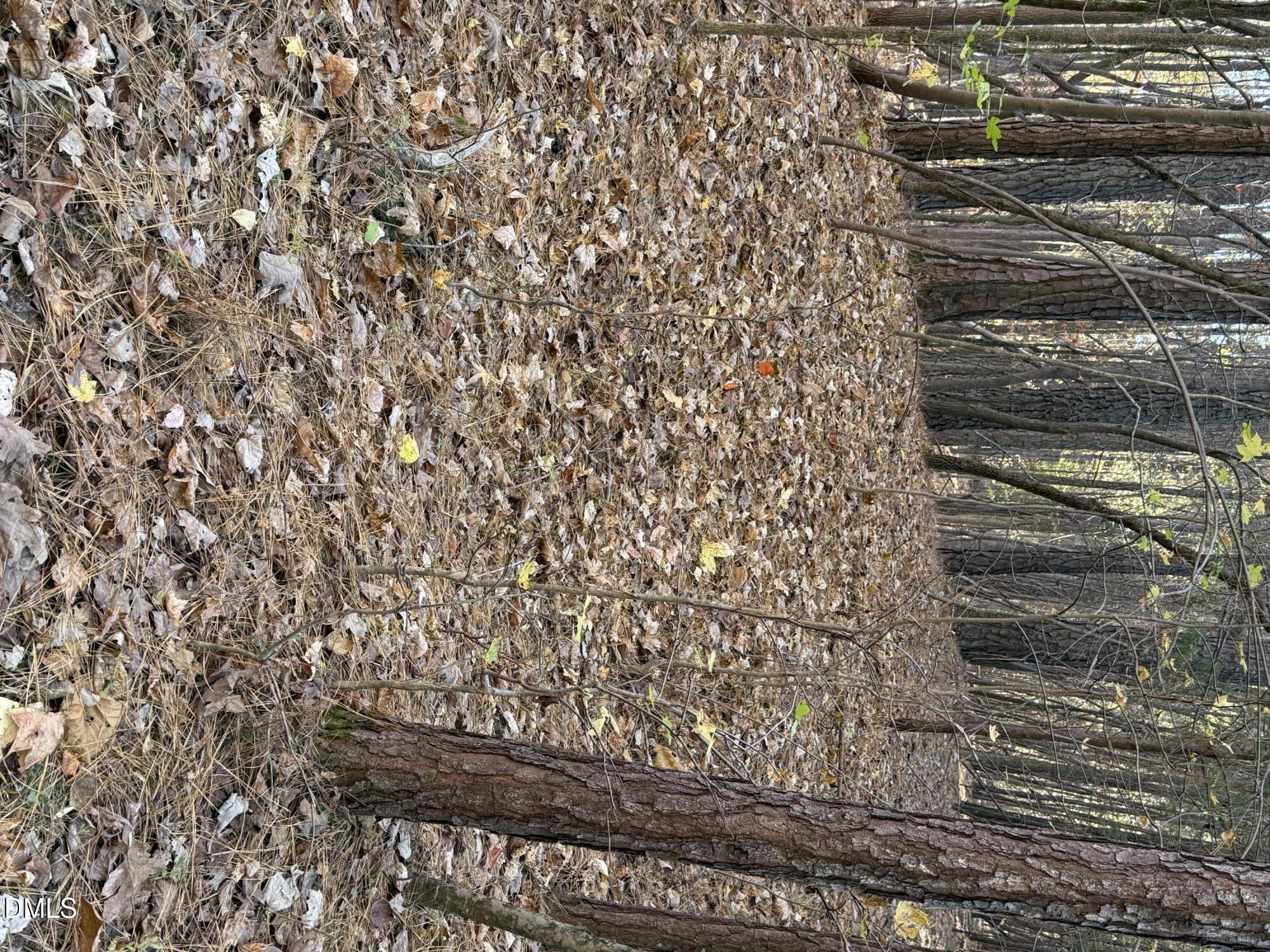 530 Crievewood Drive