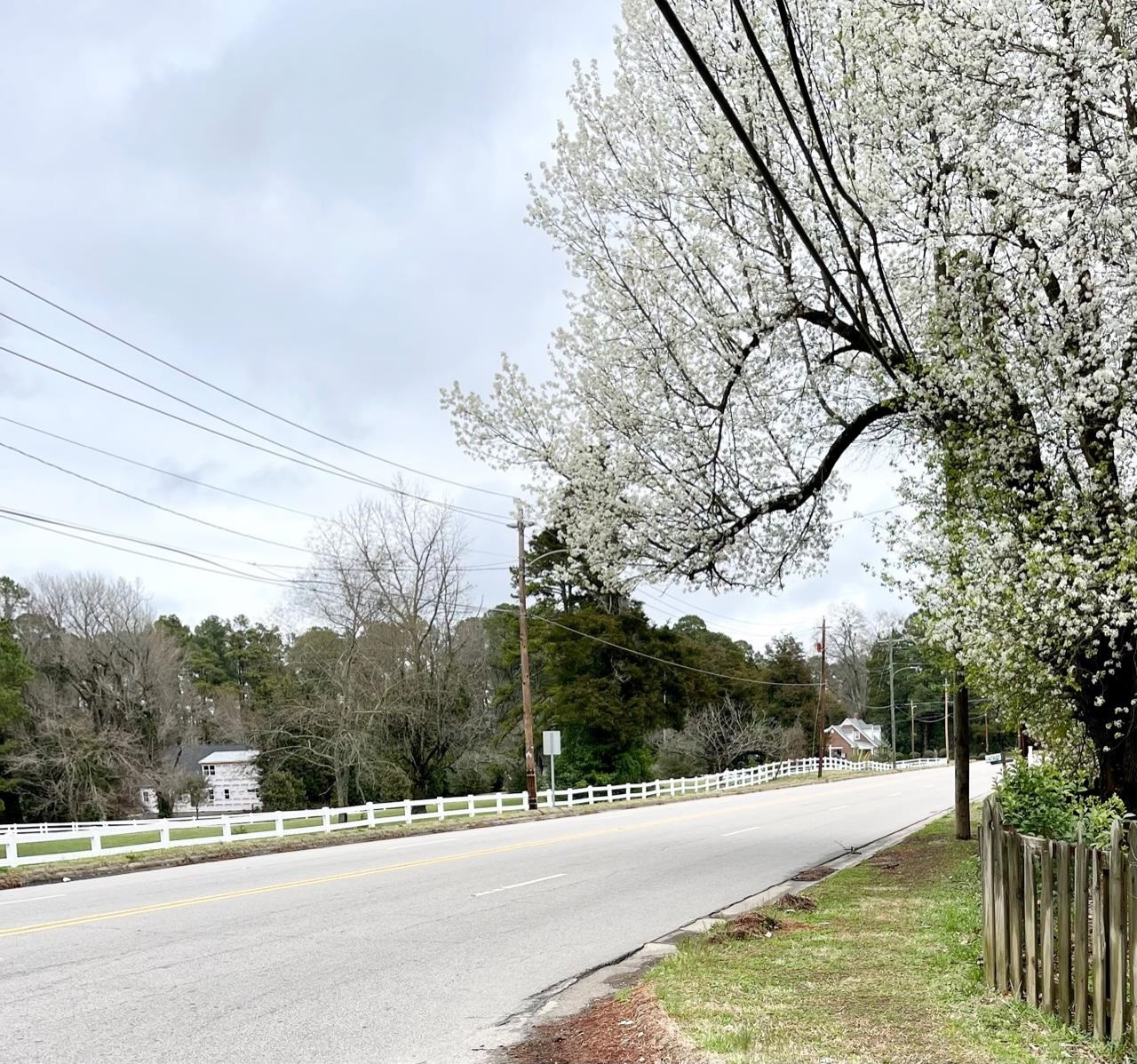 00 Oxford Rd/Southern Ave Road