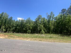 40 Downes Trail