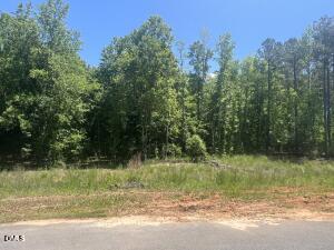 40 Downes Trail