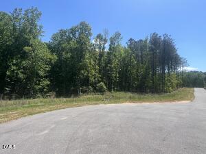 40 Downes Trail