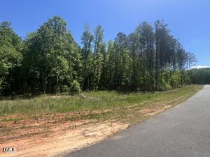 40 Downes Trail